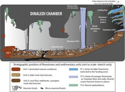 20151021130243-cartoon-illustrating-the-geological-and-taphonomic-context-and-distribution-of-fossils-sediments-and-flowstones-within-the-dinaledi-chamber.jpg